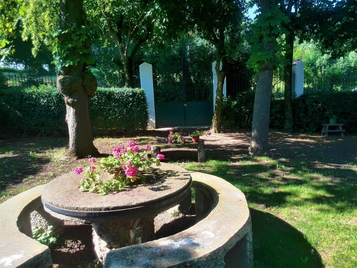 Willa Torre De Codinac San Pedro de Torelló Zewnętrze zdjęcie